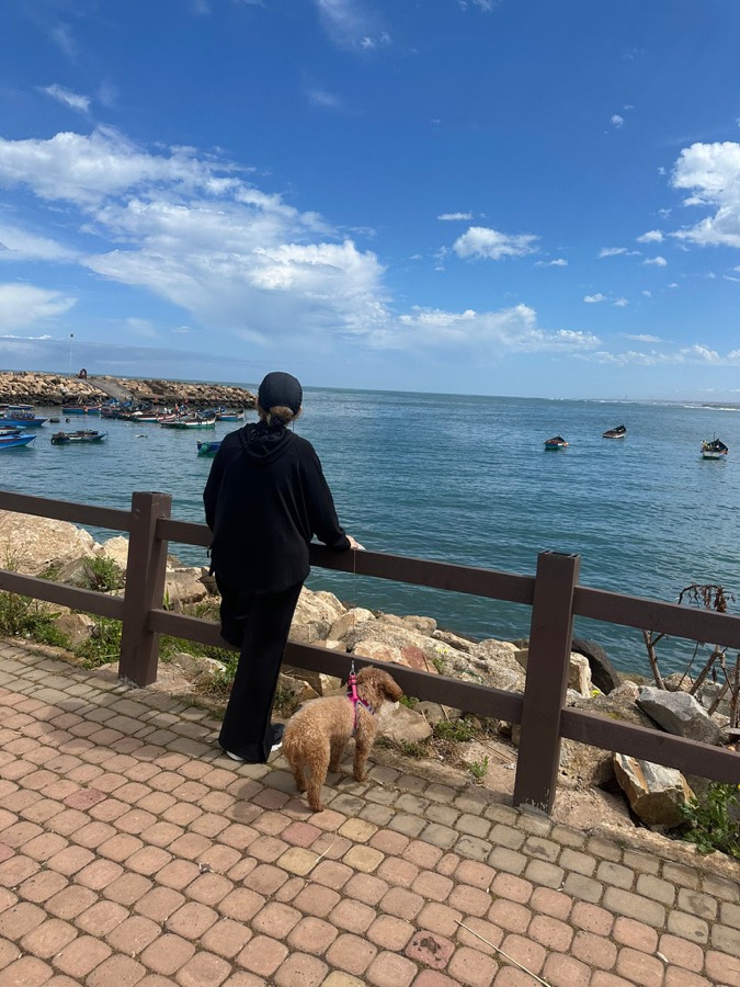 Bord de mer de Darbouazza, Maroc