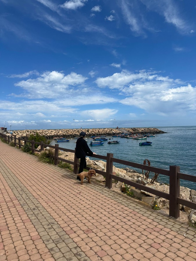 Paysage atlantique à Dar Bouazza