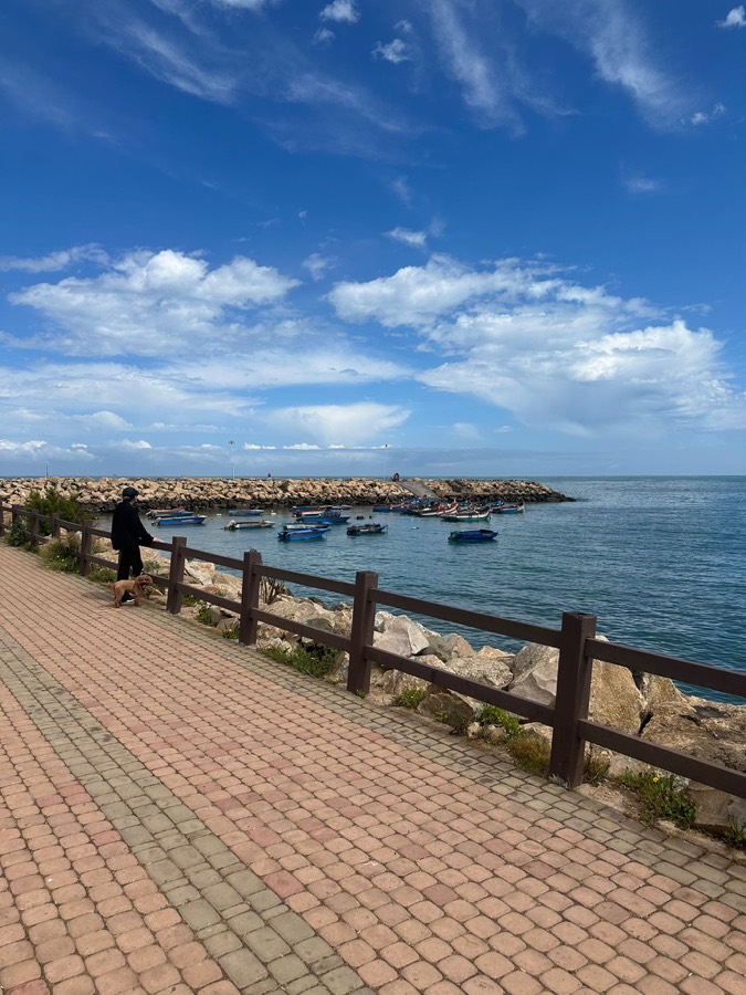 Vagues de l'Atlantique à Darbouazza, spot de surf