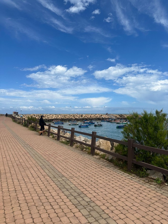 Falaises et plage à Dar Bouazza