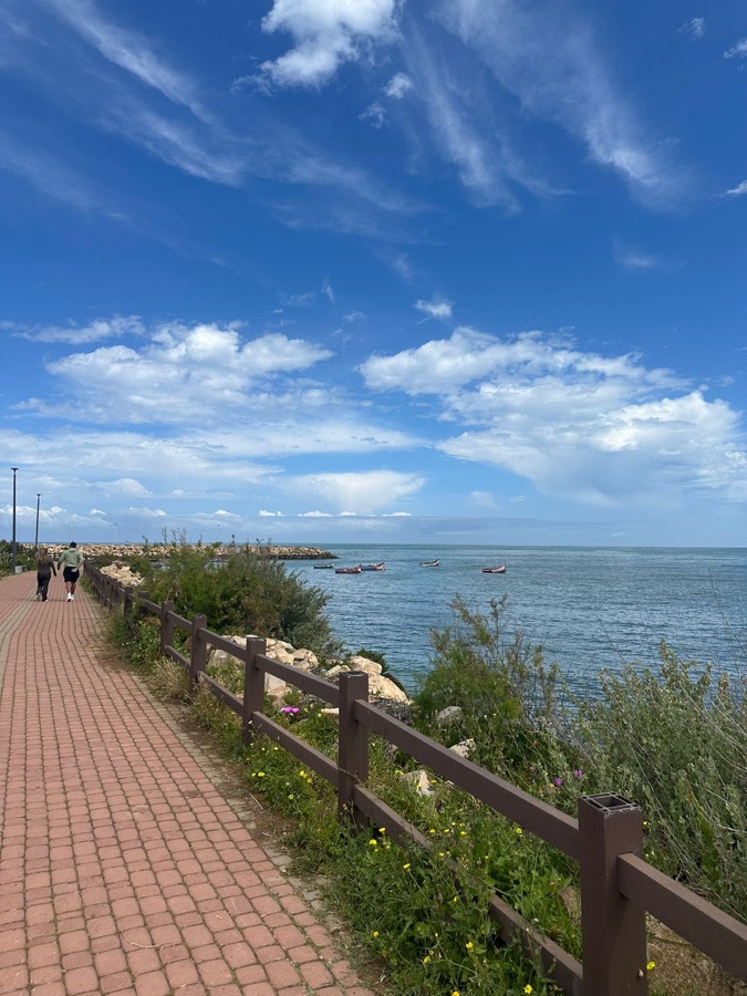 Nature côtière à Dar Bouazza